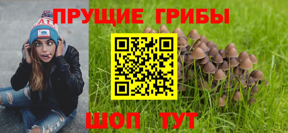 Галлюциногенные грибы Magic Shrooms Будённовск